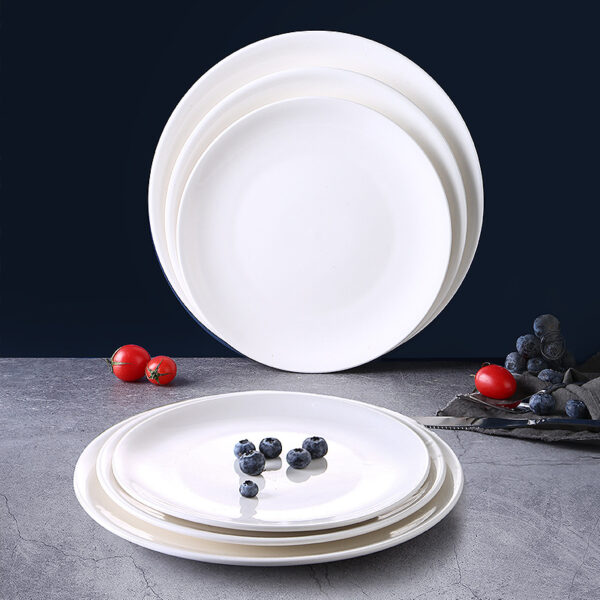 Simple Versatile ceramic plate