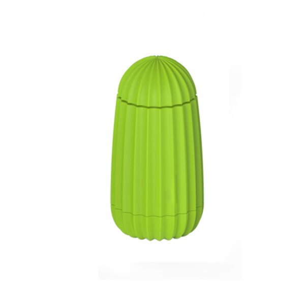 Cactus Toothpick Holder - Image 4