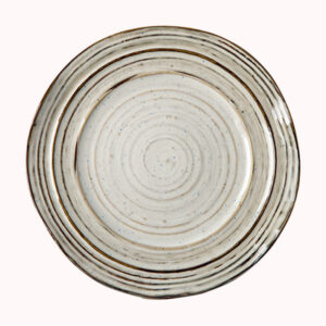 speckled-glaze-restaurant-plate Retro speckled glaze dinner plate 10.5 inch ceramic plate for pasta steak salad and main course serving